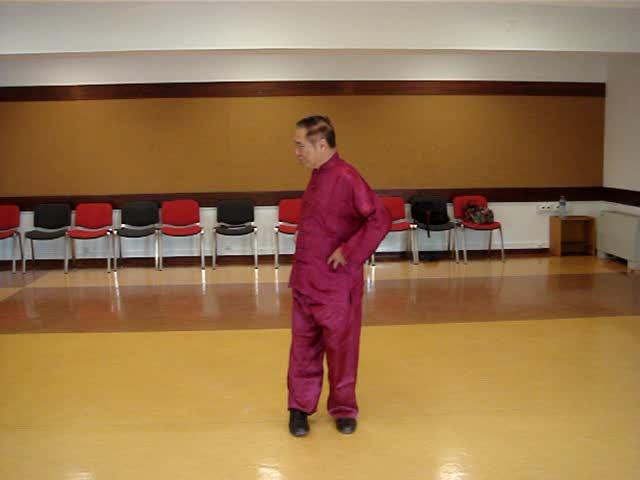 Taijiquan in Portugal