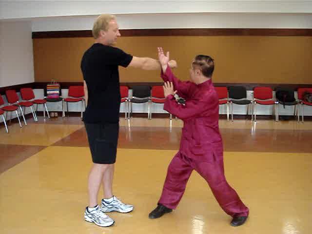 Taijiquan in Portugal