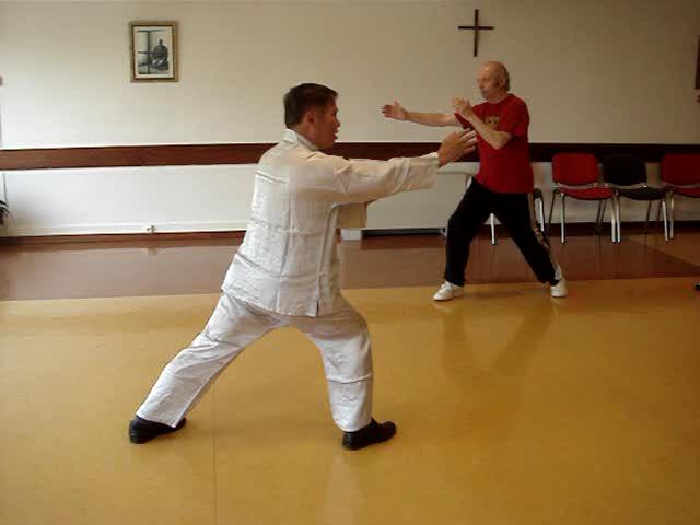 Wahnam Taijiquan, Tai Chi Chuan