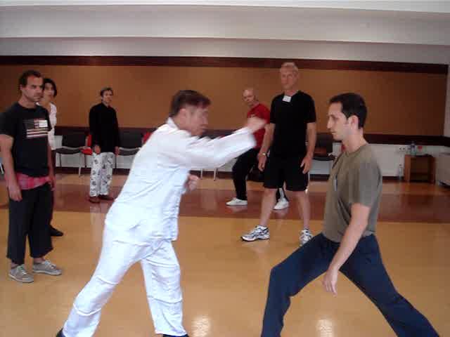 Taijiquan against Other Martial Arts