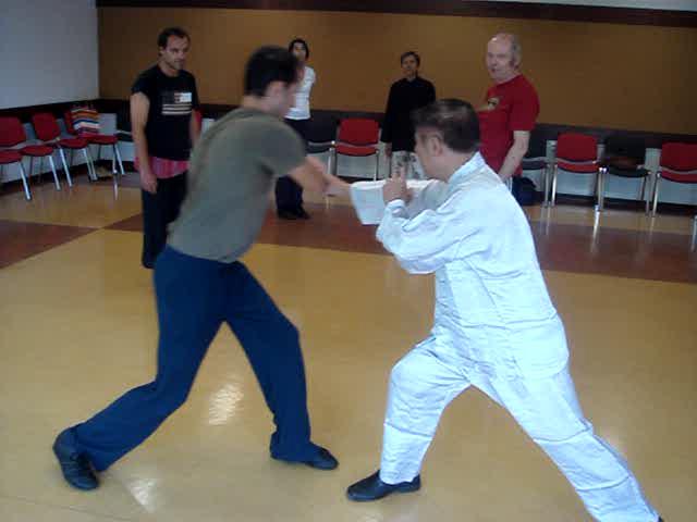 Taijiquan in Portugal