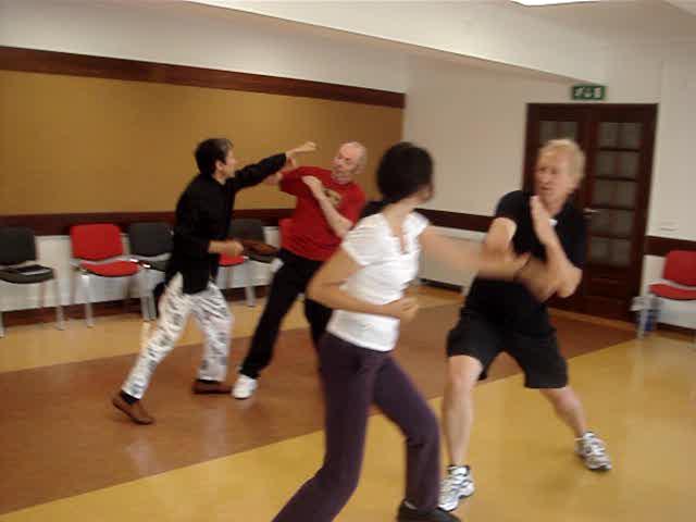 Taijiquan in Portugal