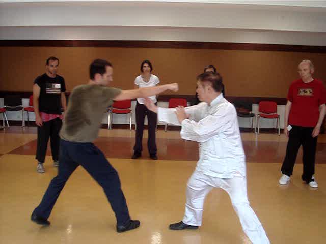 Taijiquan, Tai Chi Chuan