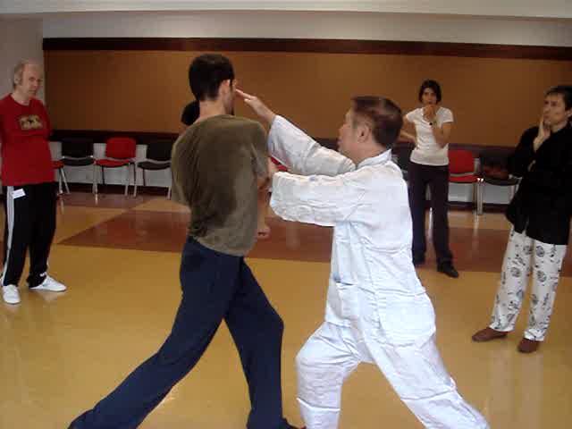 Taijiquan, Tai Chi Chuan