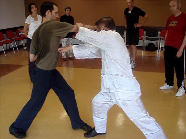 Taijiquan, Tai Chi Chuan