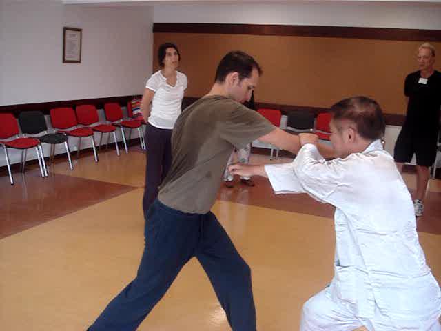 Taijiquan, Tai Chi Chuan