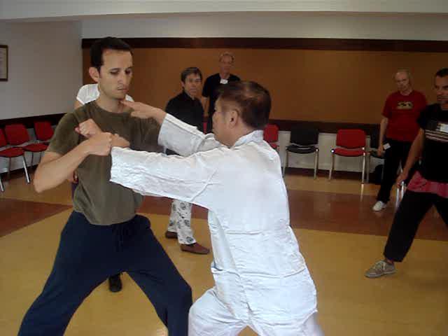 Taijiquan, Tai Chi Chuan