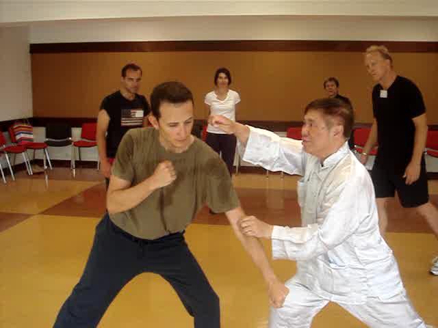 Taijiquan in Portugal