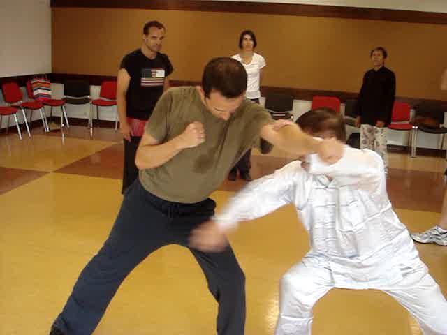 Wahnam Taijiquan, Tai Chi Chuan