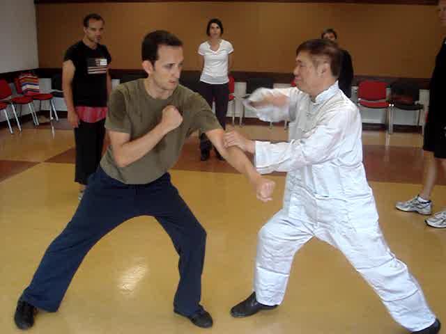 Taijiquan, Tai Chi Chuan