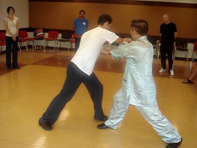 Wahnam Taijiquan, Tai Chi Chuan