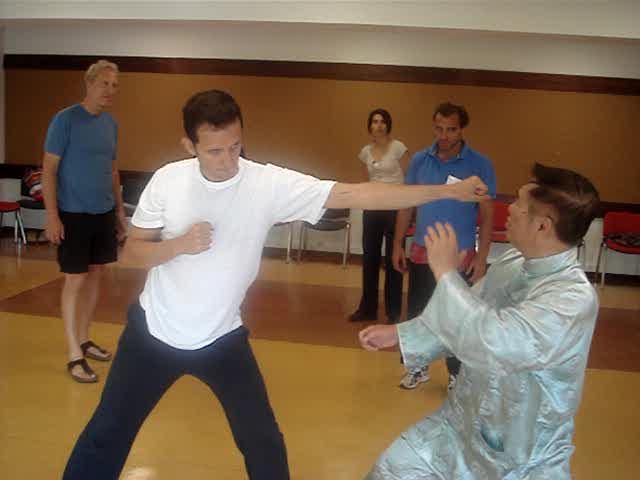 Taijiquan in Portugal