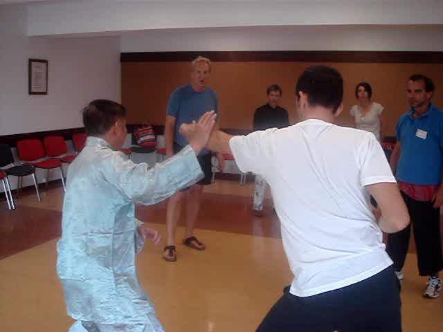 Wahnam Taijiquan, Tai Chi Chuan