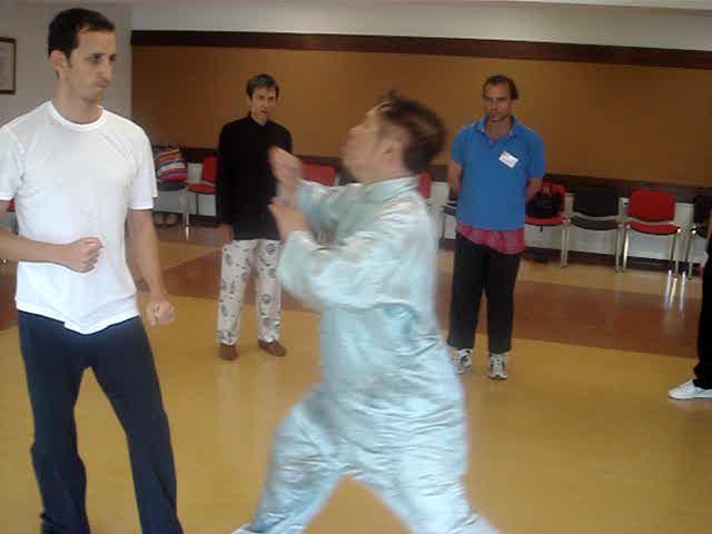 Wahnam Taijiquan, Tai Chi Chuan