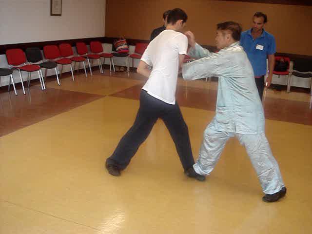 Wahnam Taijiquan, Tai Chi Chuan