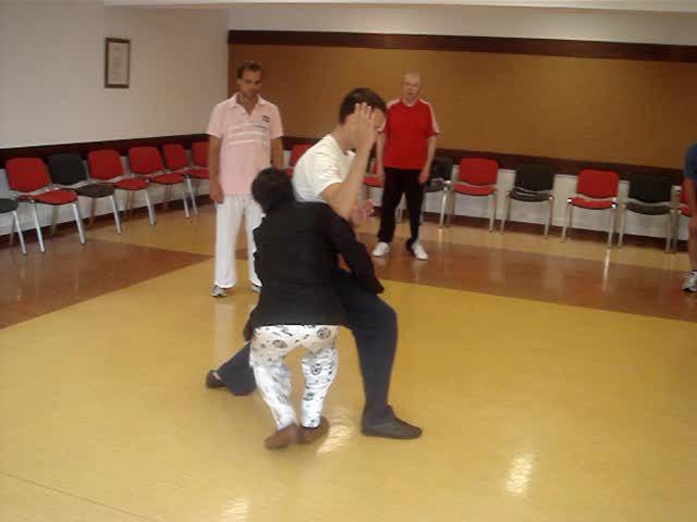 Taijiquan, Tai Chi Chuan