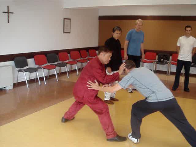 Taijiquan in Portugal