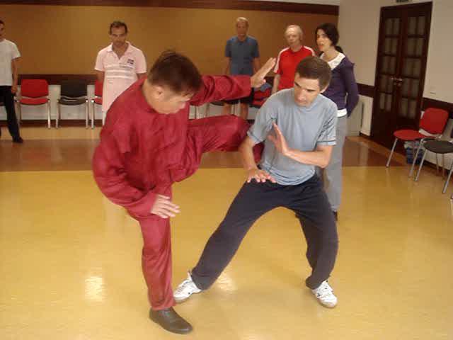 Taijiquan, Tai Chi Chuan