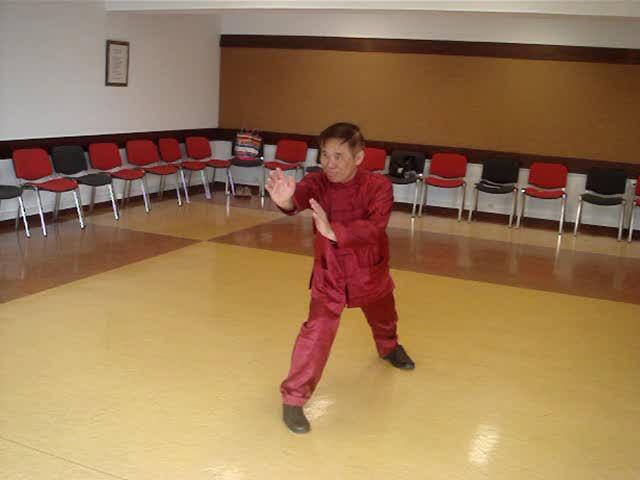 Shaolin Kungfu