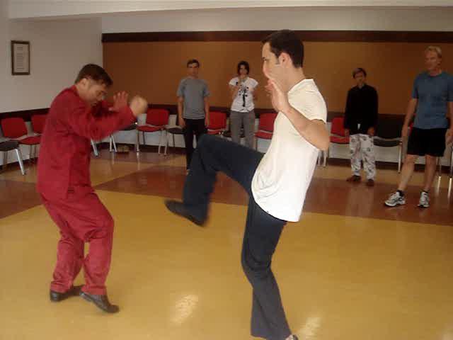 Taijiquan in Portugal