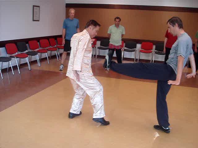 Wahnam Taijiquan, Tai Chi Chuan