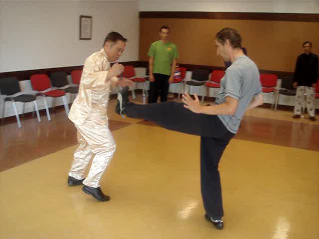 Wahnam Taijiquan, Tai Chi Chuan