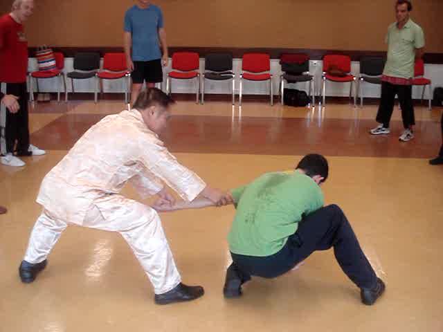 Taijiquan in Portugal