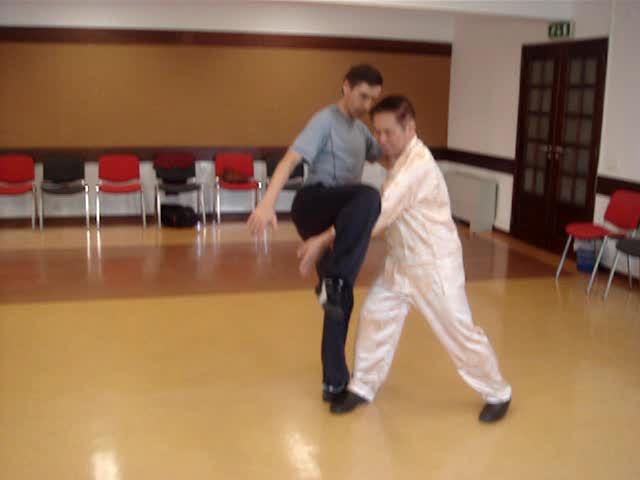 Taijiquan in Portugal