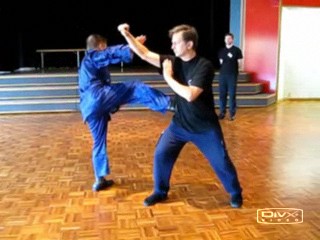 Taijiquan