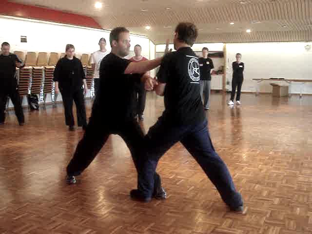 Taijiquan