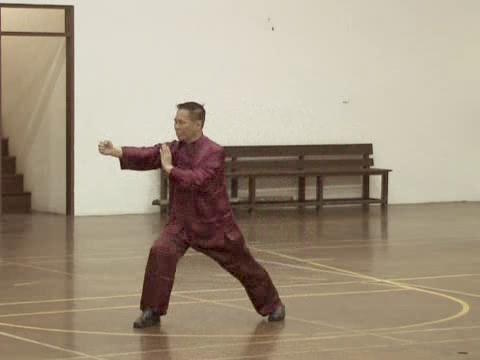 Shaolin-Taijiquan in Sabah 2011