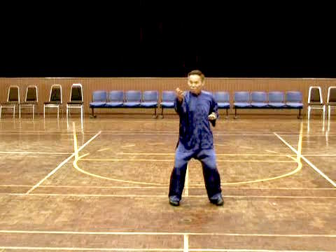 Shaolin-Taijiquan in Sabah 2011