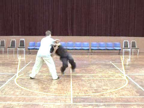 Shaolin-Taijiquan in Sabah 2011