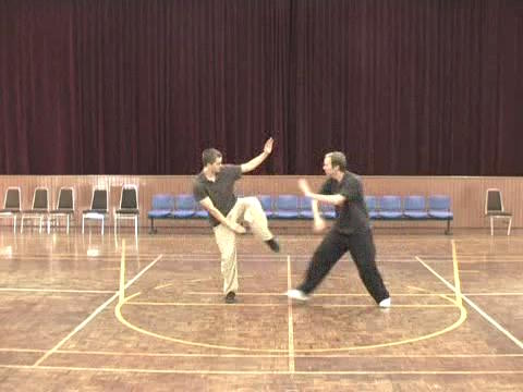 Shaolin-Taijiquan in Sabah 2011