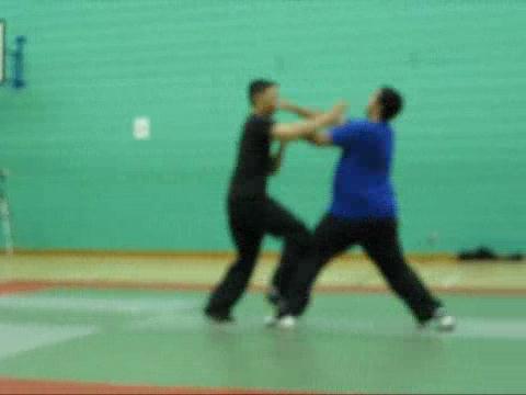 Free Sparring Competition