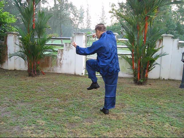 Wudang Yang Style Taijiquan