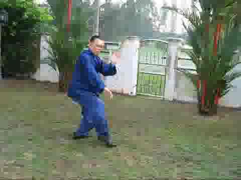 Wudang Tai Chi Chuan