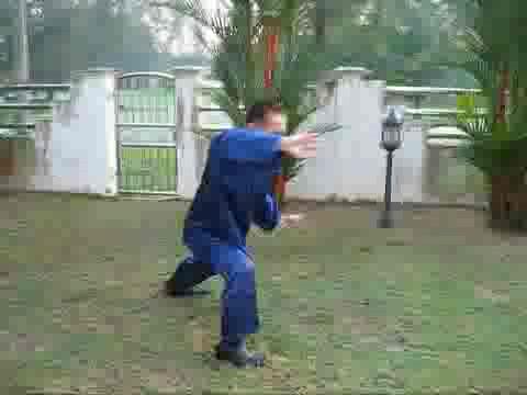 Wudang Taijiquan