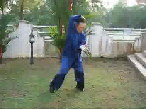 Wudang Taijiquan