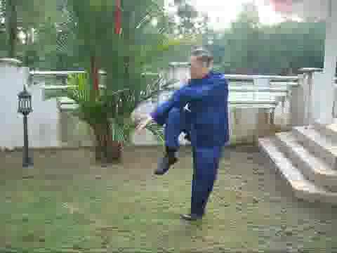 Wudang Taijiquan