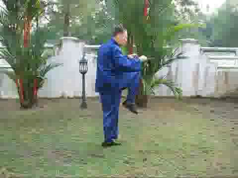 Wudang Taijiquan