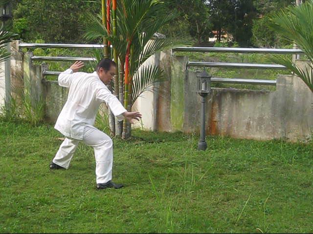 64 Palms of Baguazhang