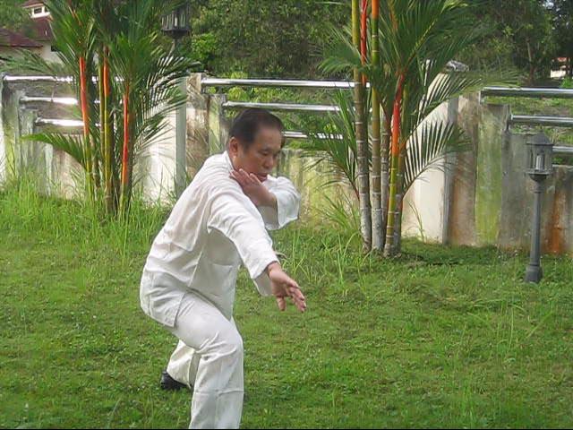 64 Palms of Baguazhang