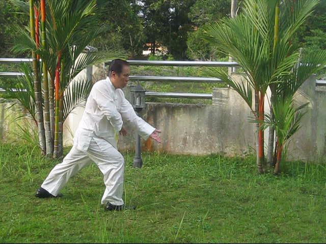 64 Palms of Baguazhang