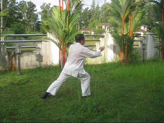 64 Palms of Baguazhang