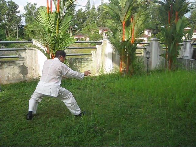 64 Palms of Baguazhang