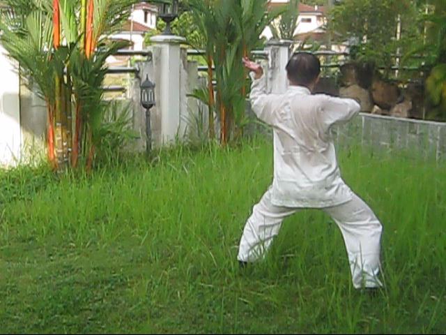 64 Palms of Baguazhang