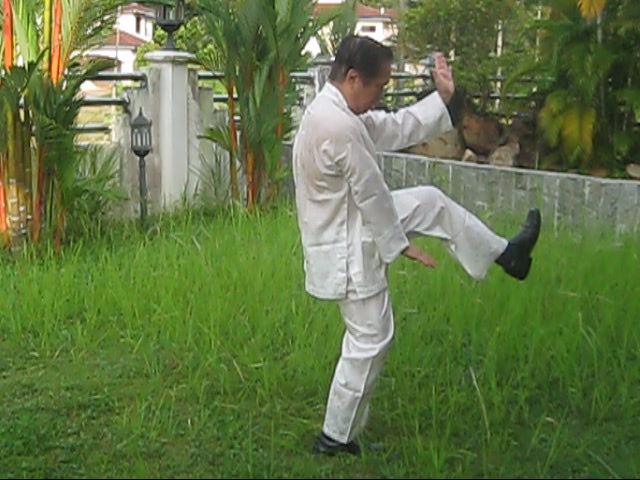 64 Palms of Baguazhang