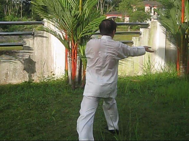 64 Palms of Baguazhang