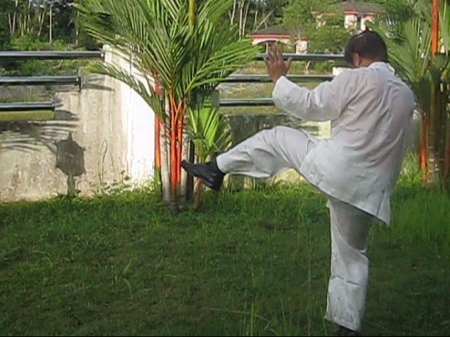 64 Palms of Baguazhang